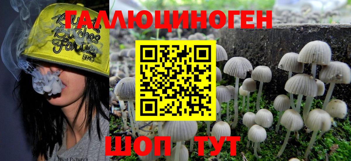 как найти закладки  Псилоцибиновые грибы GOLDEN TEACHER  Вход с VPN  Сосновый Бор 