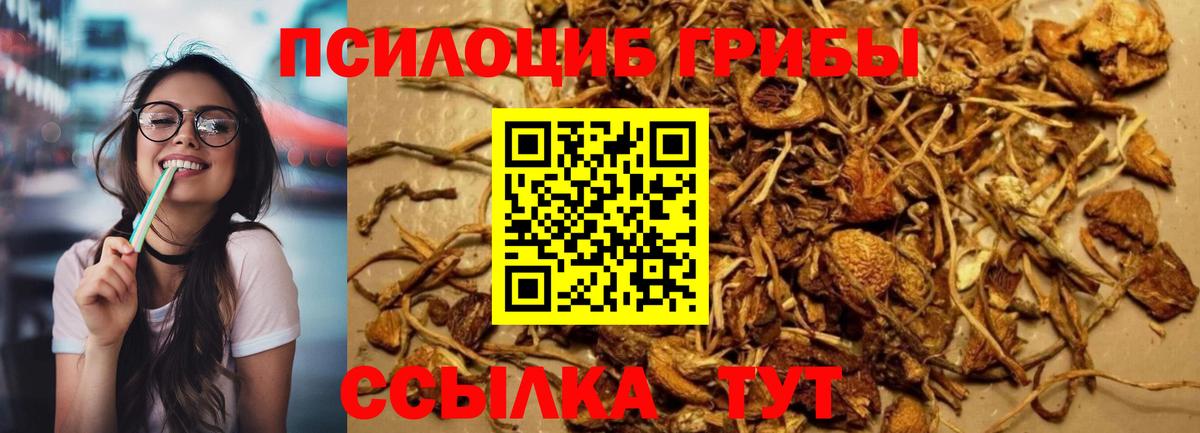 Галлюциногенные грибы ЛСД Сосновый Бор